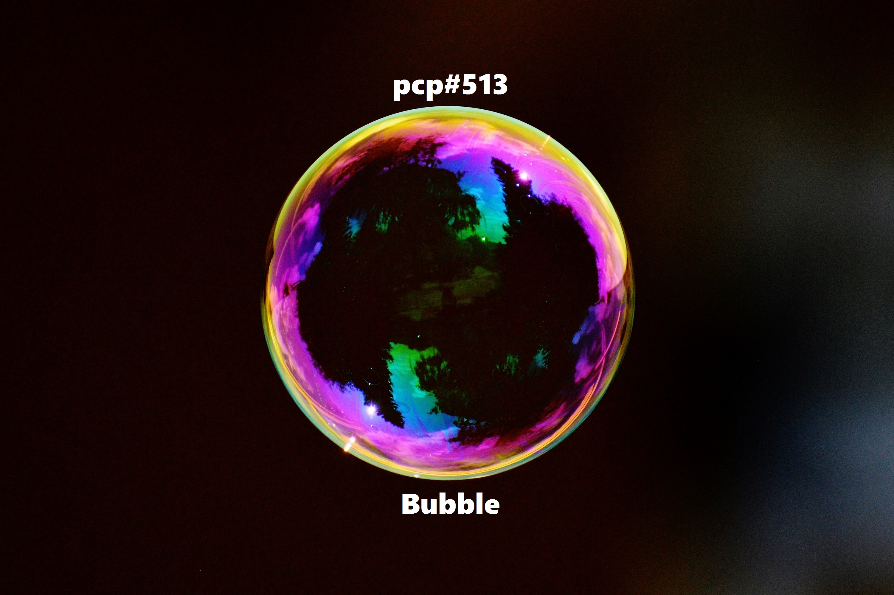 PCP#513... Bubble