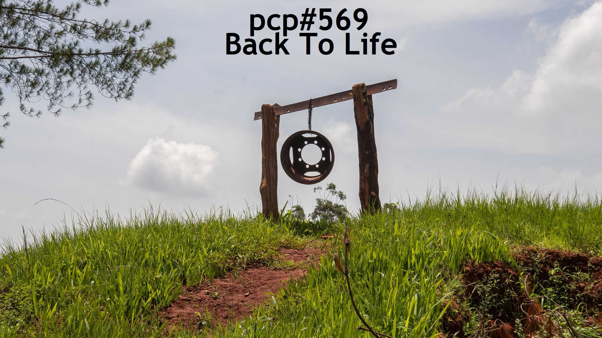 PCP#659… Back To Life…
