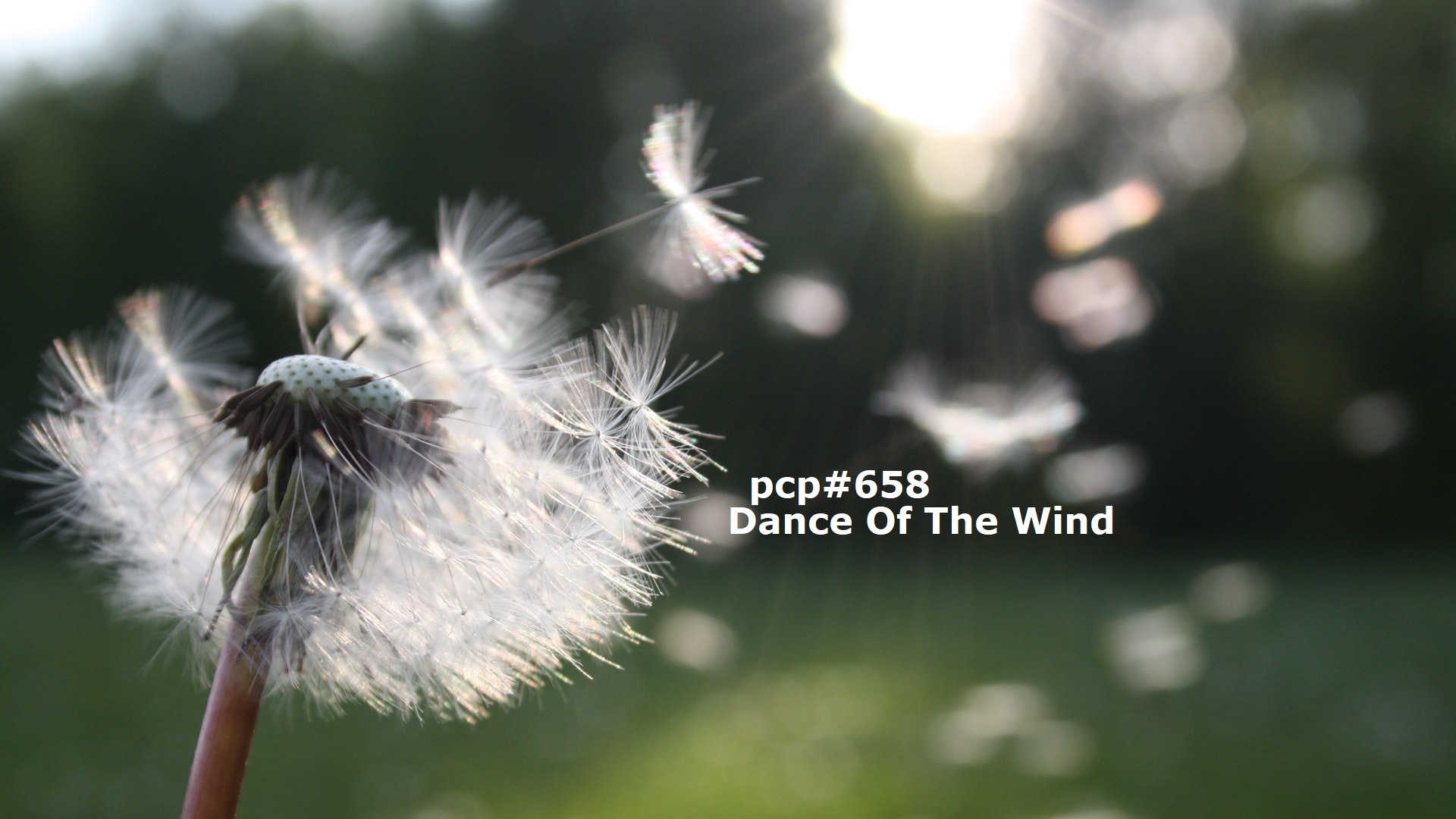 PCP#658… Dance Of The Wind…