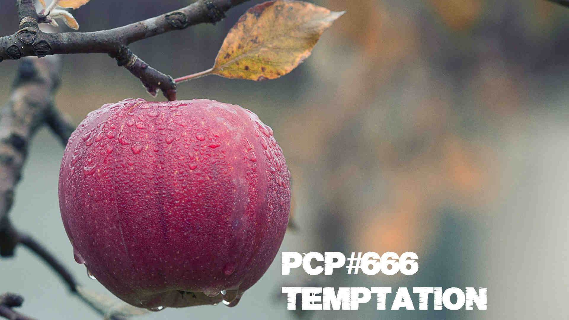 PCP#666… Temptation…