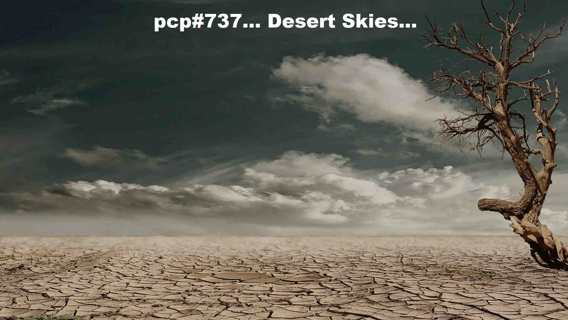PCP#737... Desert Skies....