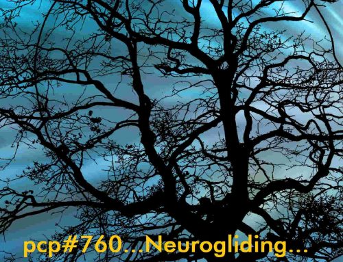 PCP#760… Neurogliding….