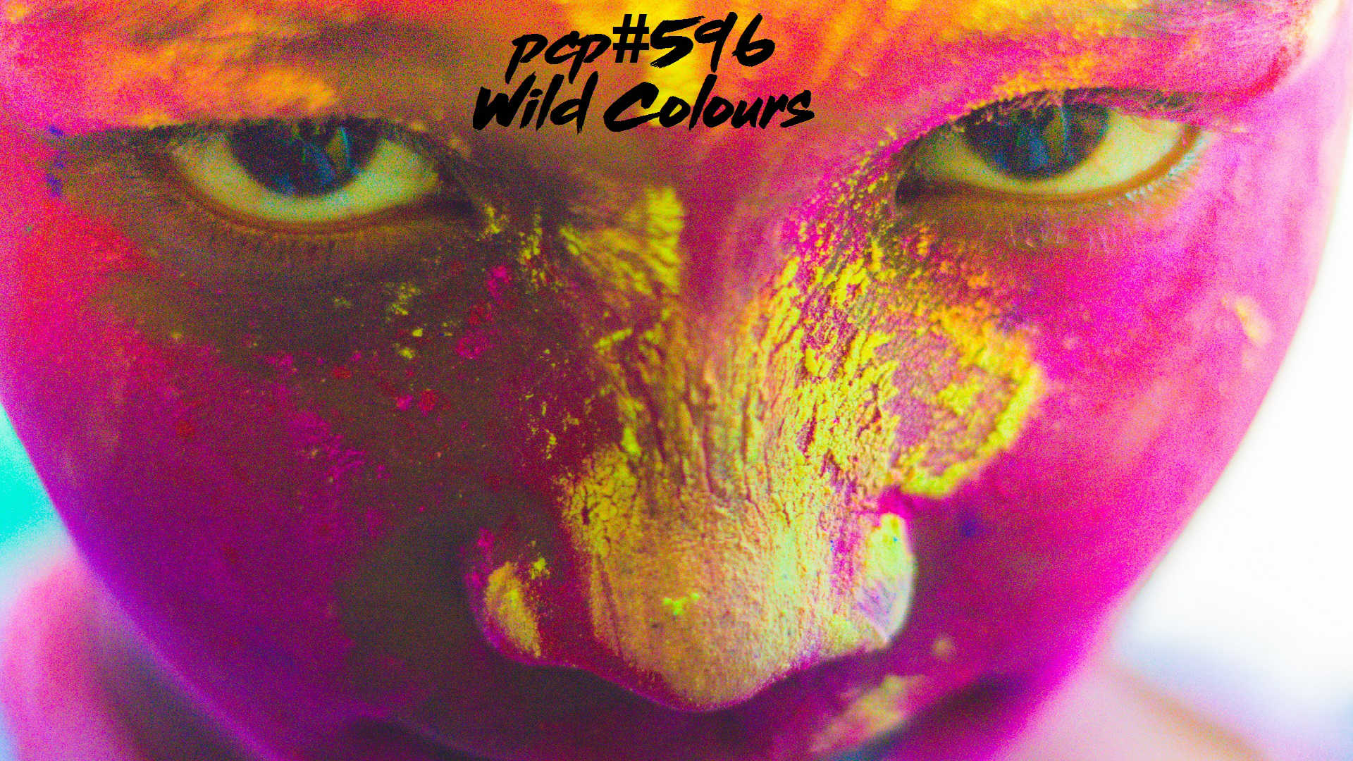 PCP#596... Wild Colours....