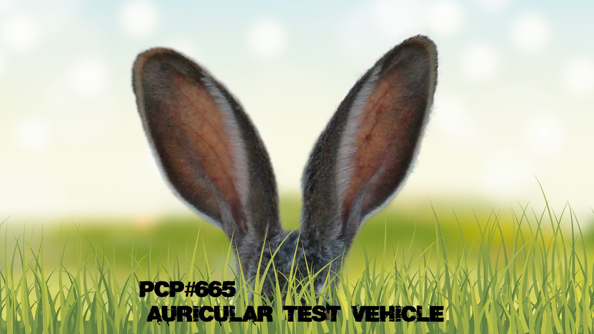 PCP#655.... Auricular Test Vehicle....