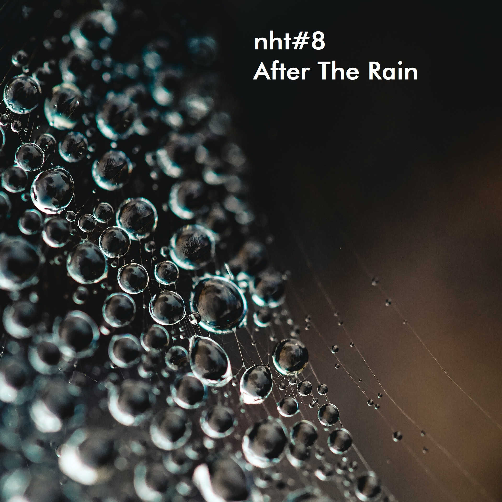 NHT#8... After The Rain
