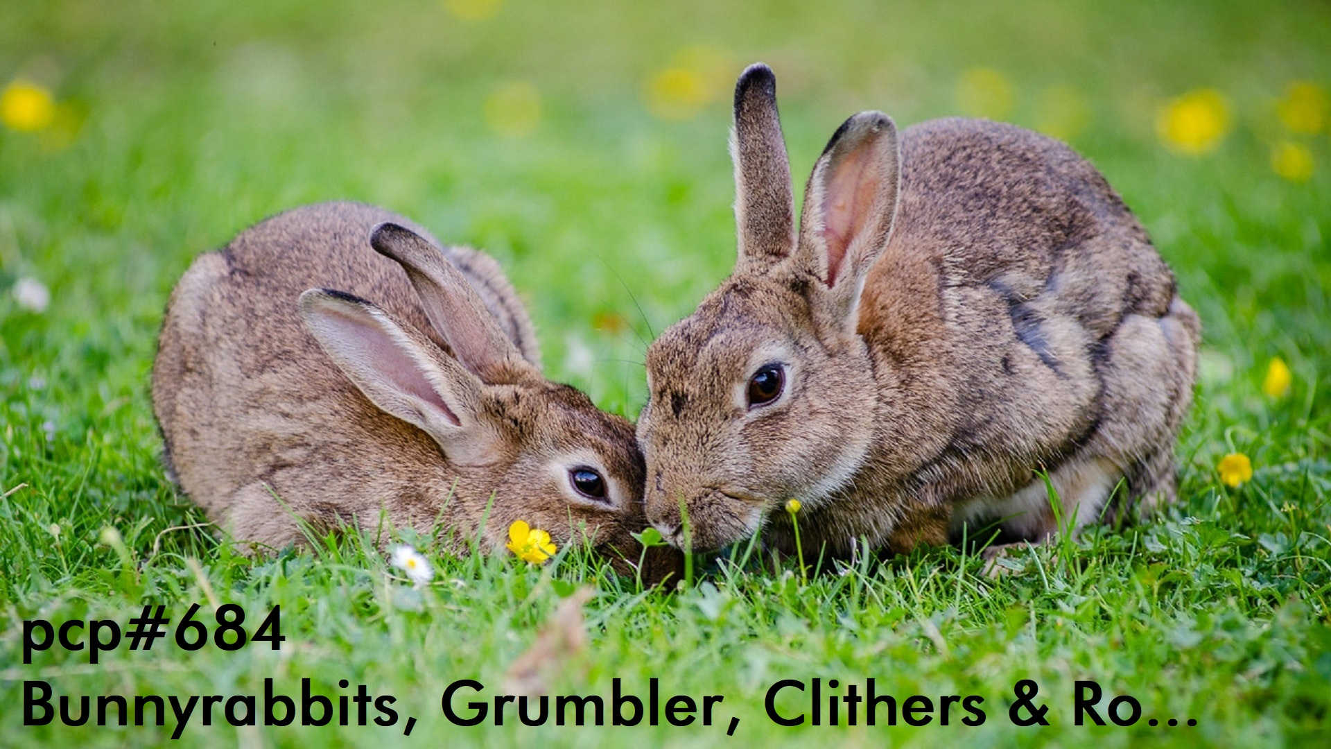 PCP#684... Bunnyrabbits, Grumbler, Clithers and Ro...